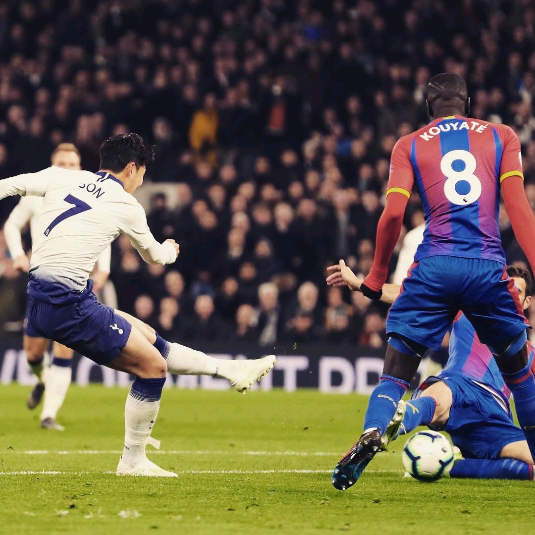 他的職業生 他的職業生