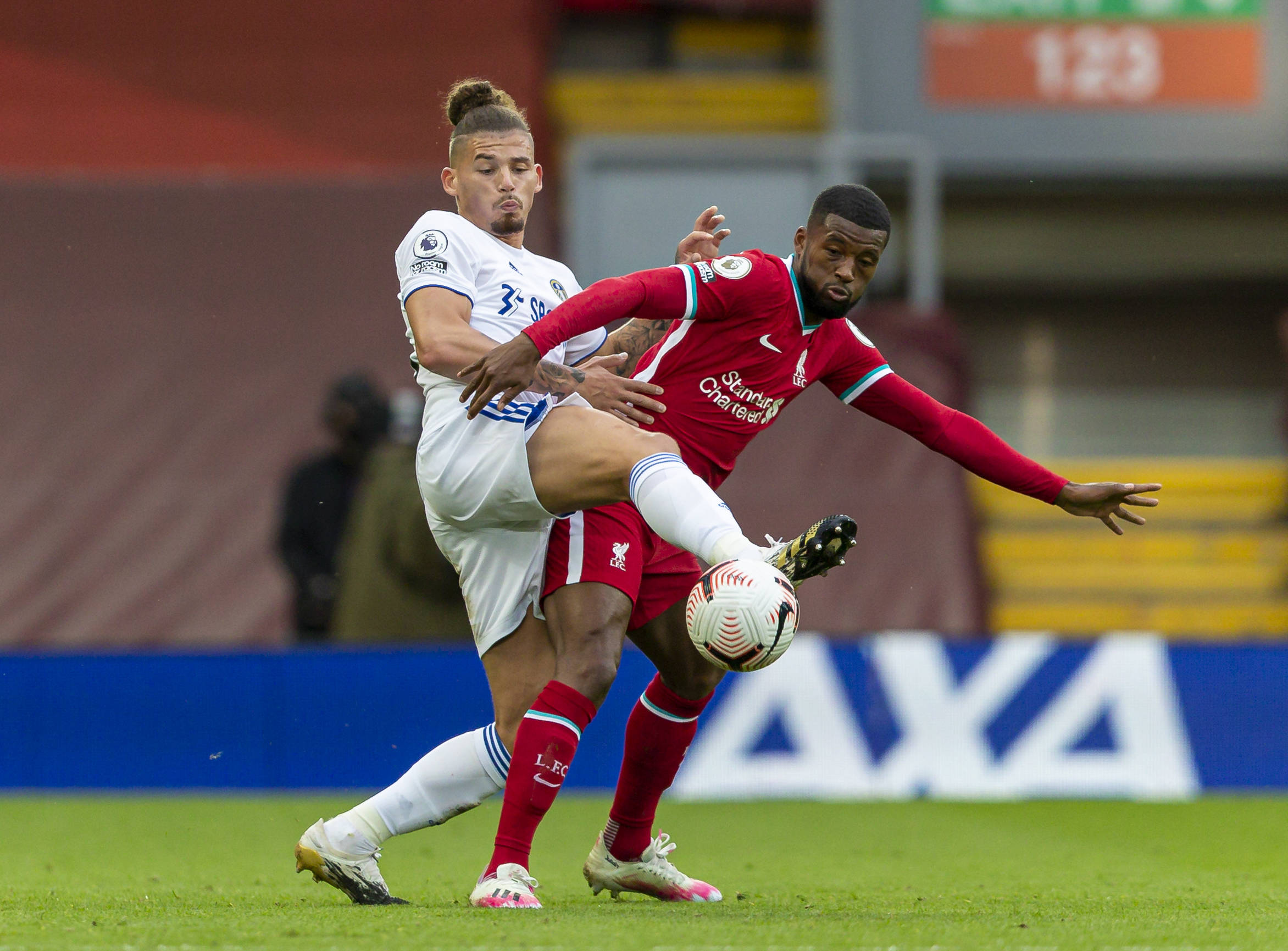 在未来的几 在未来的几